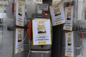 bob-campagna-street-marketing-600x400