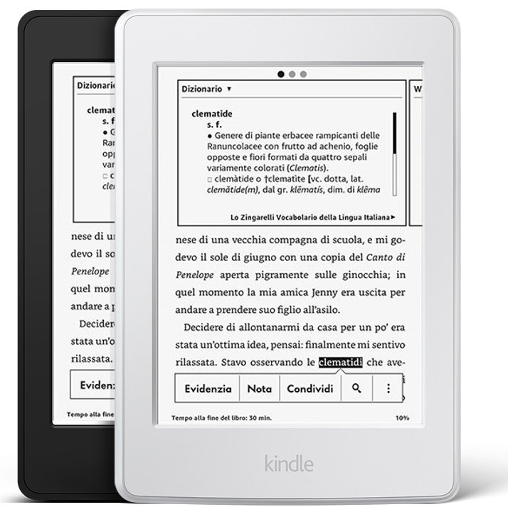 consultazione-e-reader