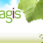magis-viticoltura-sostenibile-new-logo-2014-rubrica-596-273