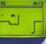 snake