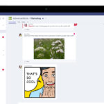 microsoft-teams2