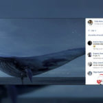 anti-blue-whale-1