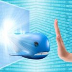 anti-blue-whale