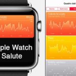 salute apple1