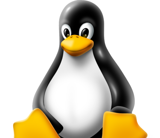 Caratteristiche hosting Linux per WordPress