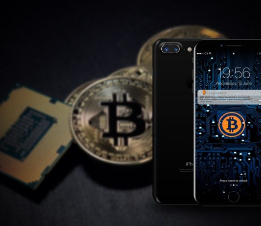 Portafogli per cryptovalute.