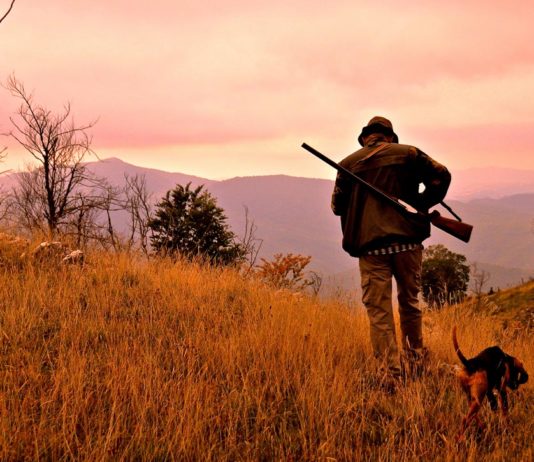 Microsoft apre la stagione della caccia!