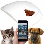 pet-feeder-cat-dog