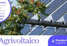 agrivoltaico