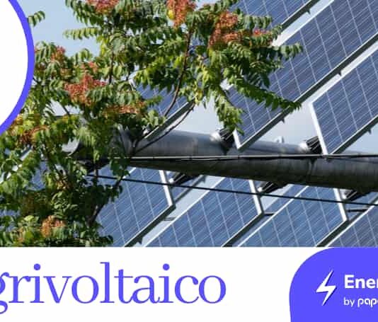 agrivoltaico