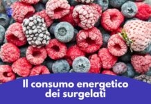 consumo energetico surgelati