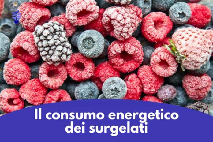 consumo energetico surgelati