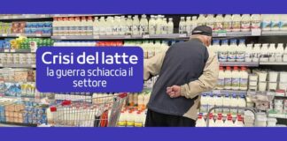 produzione del latte